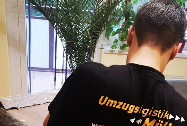 Preise für Ihren Studentenumzug in Demitz-Thumitz
